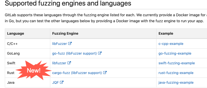 New language support for coverage-guided fuzz testing
